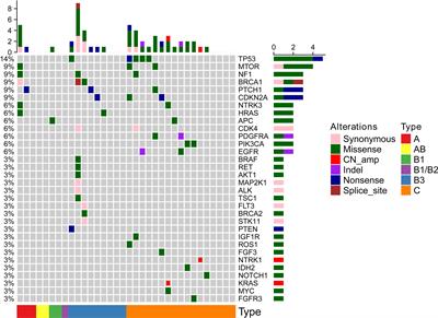 Frequent Genetic Alterations and Their Clinical Significance in Patients With Thymic Epithelial Tumors